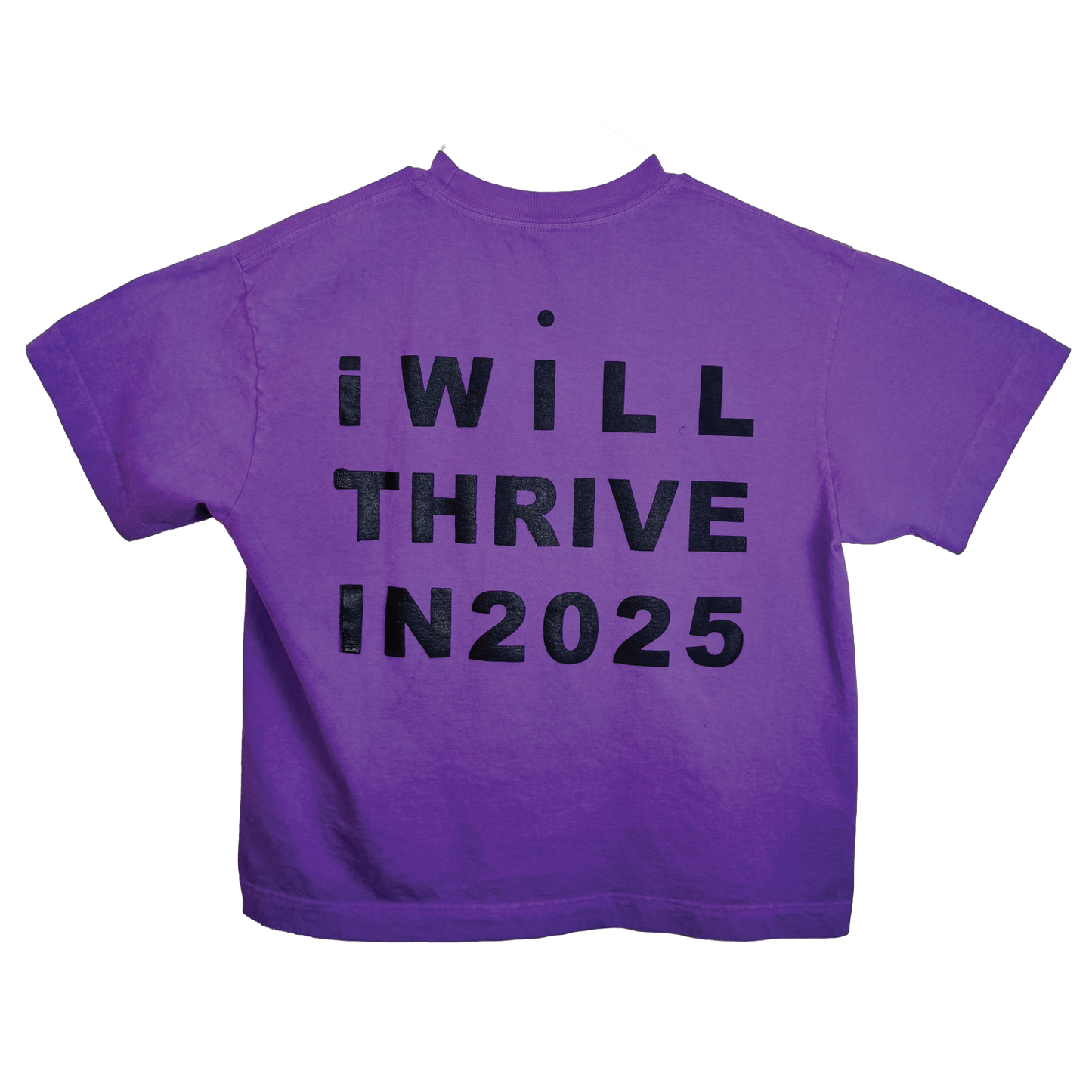 I WILL THRIVE IN 2025 - Short Sleeve T-Shirt